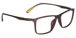 Amaryllis Rectangle Glasses2