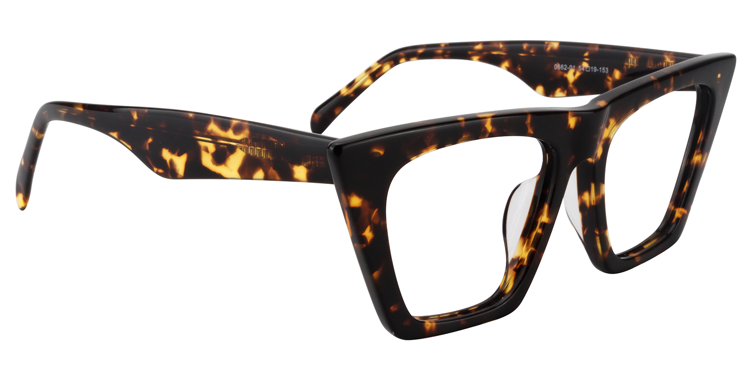 Cat Eye Tortoise Glasses4