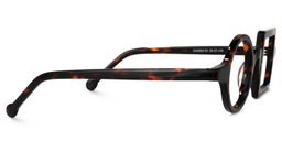 Paola Asymmetric Tortoise Glasses2