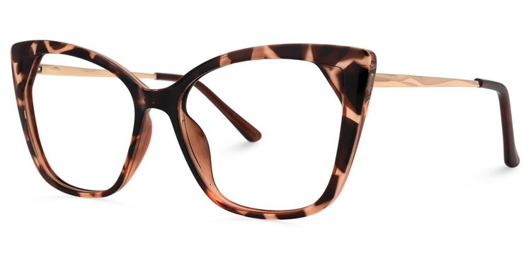Shaffer Cateye Tortoise Glasses