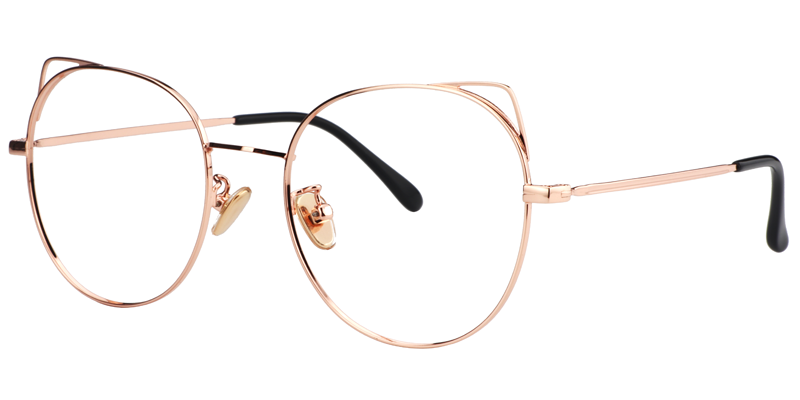 Buy  Optical Glasses and EyeWear Frames on Zeelool2