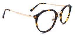 Jacqueline Geometric Tortoise Glasses2