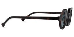 Paola Asymmetric Tortoise Sunglasses3
