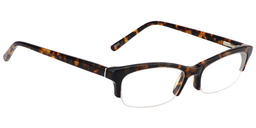 Sandy Browline Tortoise Glasses4