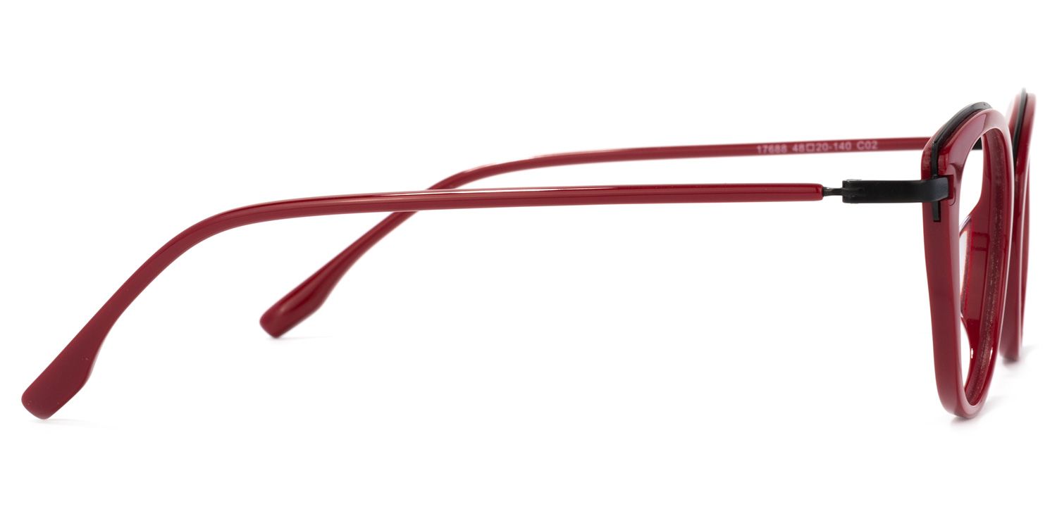 Buy Faryn Optical Glasses and EyeWear Frames on Zeelool3