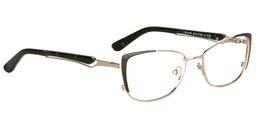 Brittany spring hinge glasses3