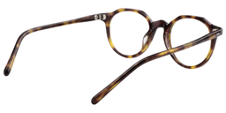 Davina Geometric Light Amber Glasses5