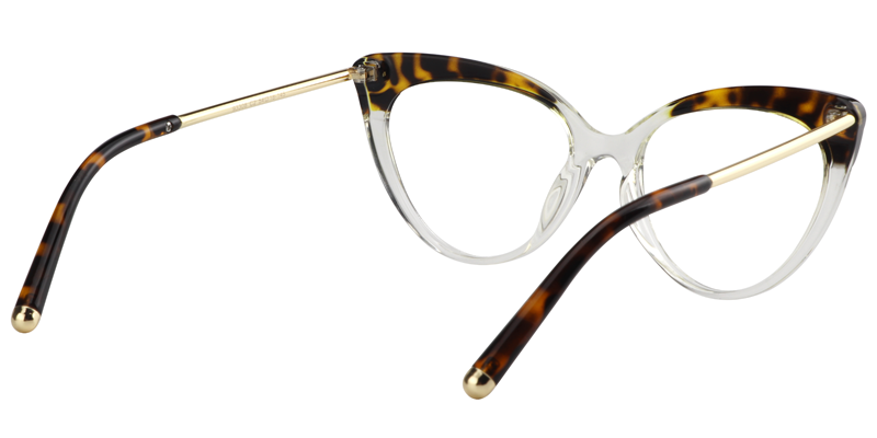 Cat Eye Tortoise&Clear Glasses5