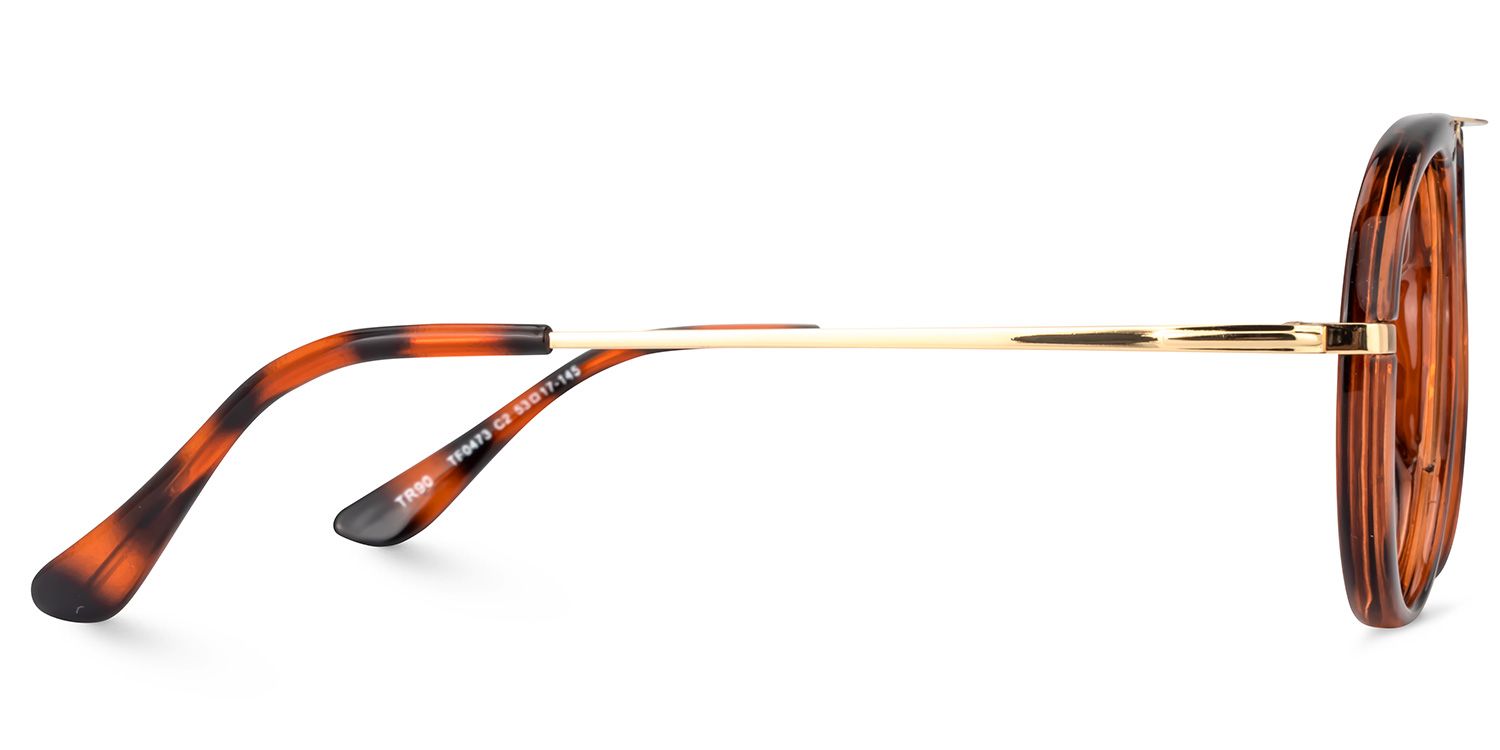 Geometric Tortoise Glasses | Zeelool Glasses3