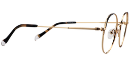 Lindsay Titanium Gold Glasses4