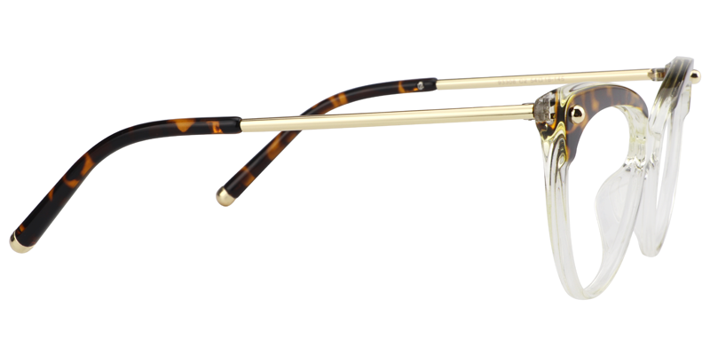 Cat Eye Tortoise&Clear Glasses6