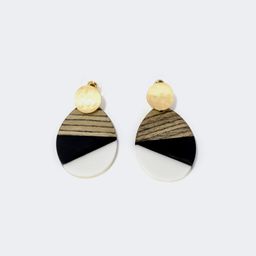 Stylish Multicolor Acetate Earrings1