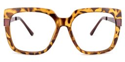 Reeves Square Tortoise Glasses0