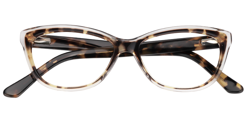  Cat EyeTortoise Glasses1