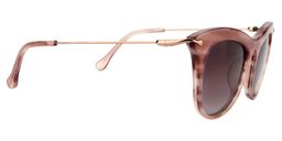 Joyce Cat-eye Brown Sunglasses4