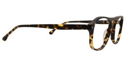 Tyler Aviator Tortoise Glasses4