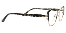 Aelfric Cat eye Black Glasses4