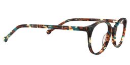 Dennielle Round Floral Glasses4