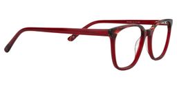 Daisy Square Red Glasses4