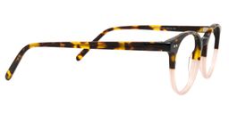 Alister Round Tortoise Glasses4