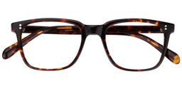 Lamont Rectangle Tortoise Glasses1