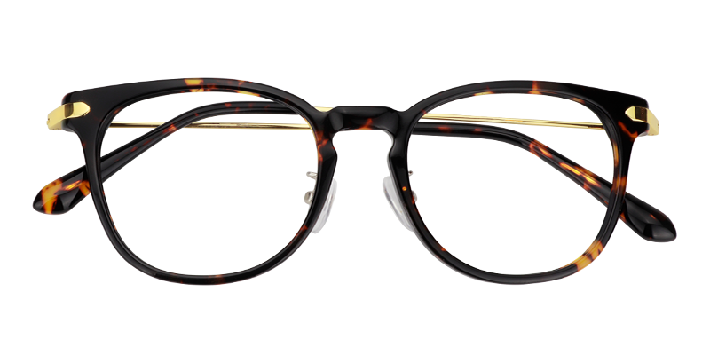 Oval Tortoise Glasses | Zeelool Eyeglasses Online1