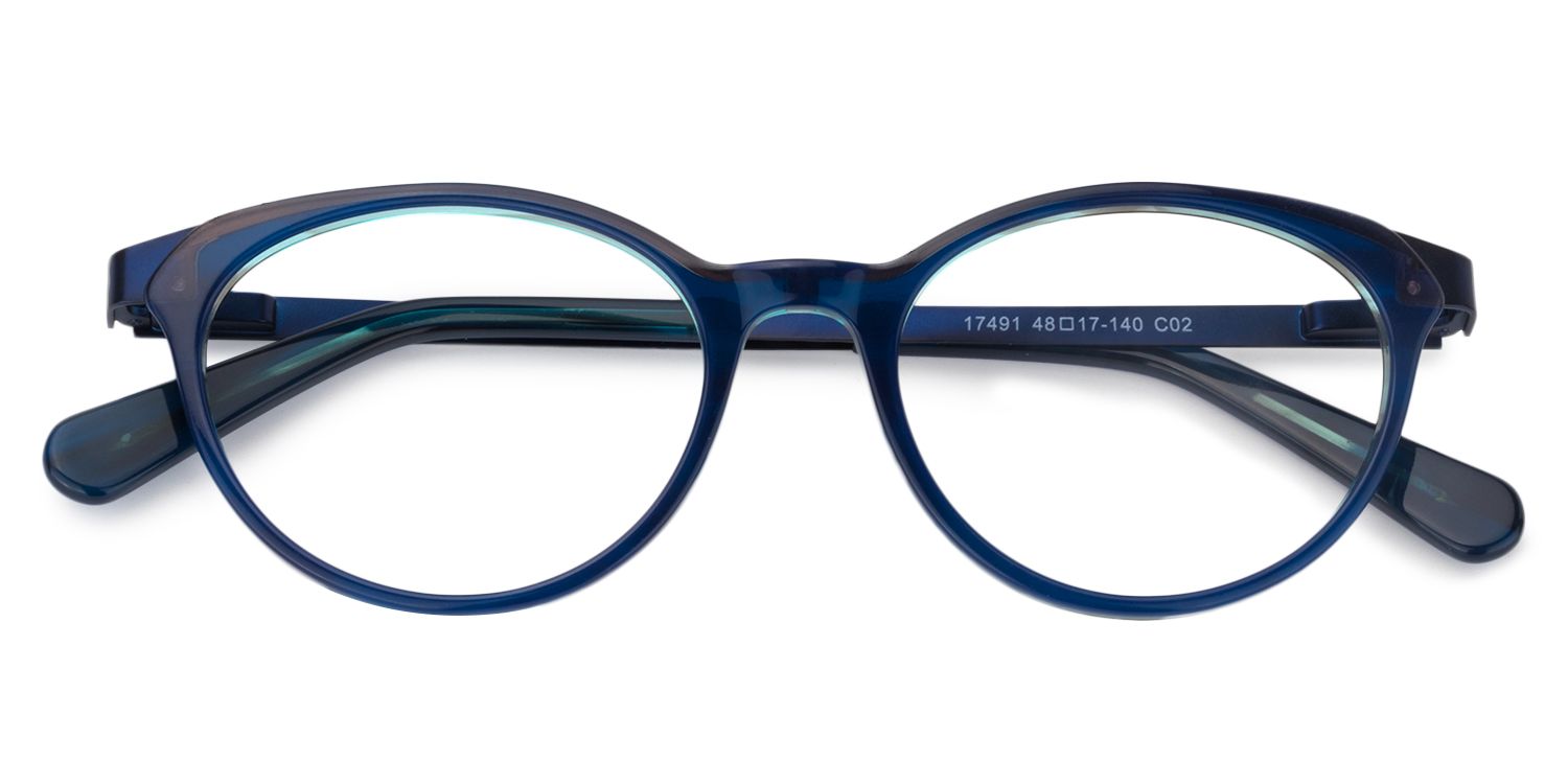 Oval Dark Blue Glasses | Zeelool Glasses1