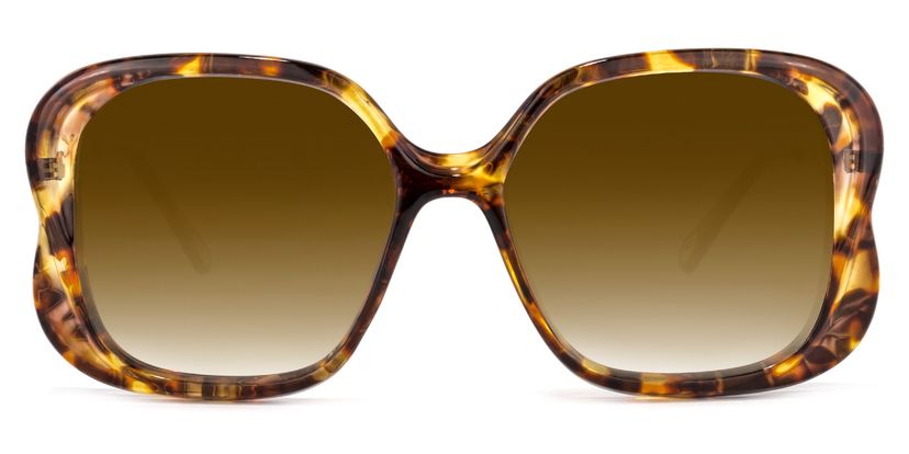 Hanley Geometric Tortoise Sunglasses