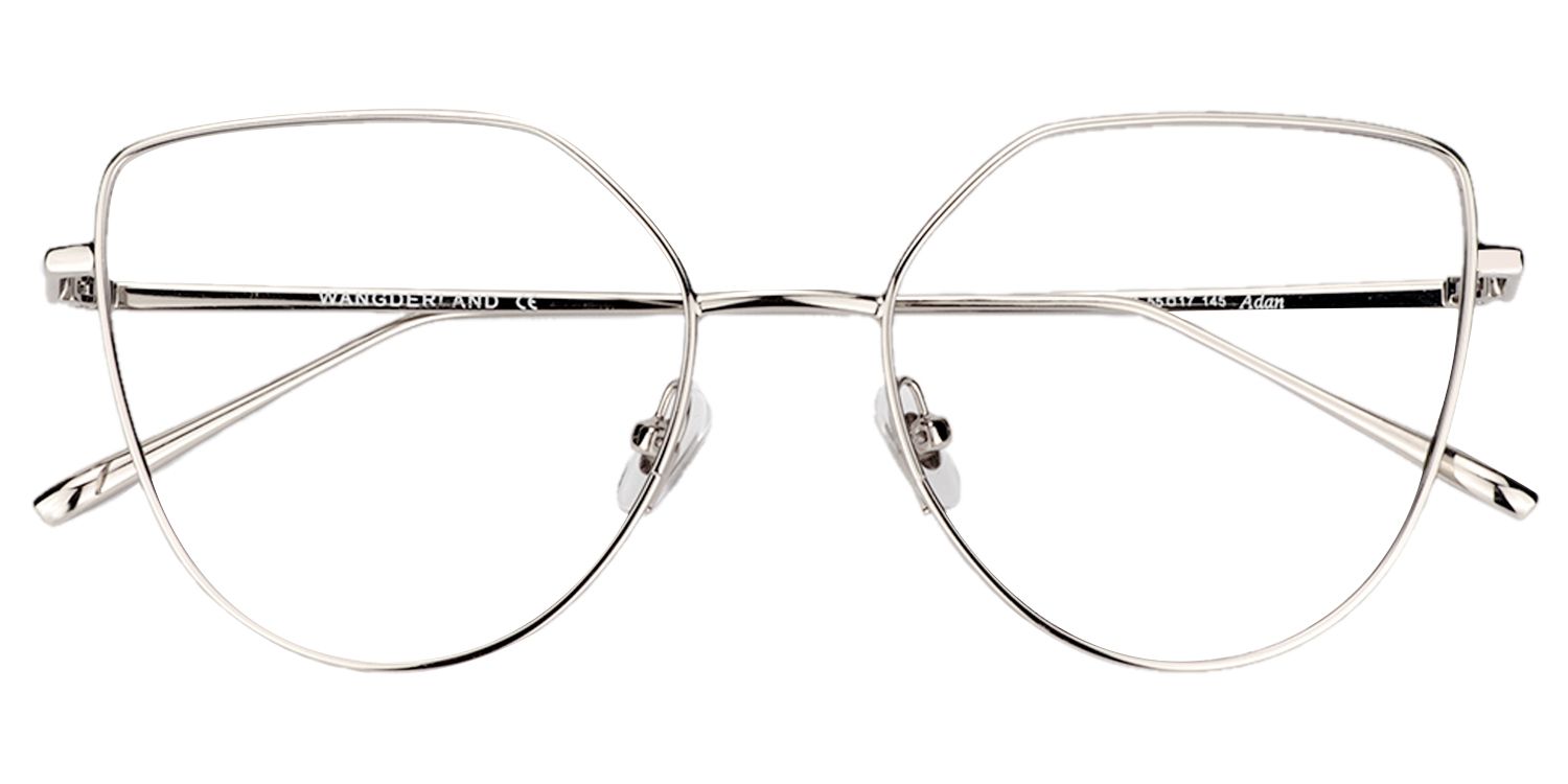 Ariel Cat Eye Silver Glasses | Zeelool Glasses1