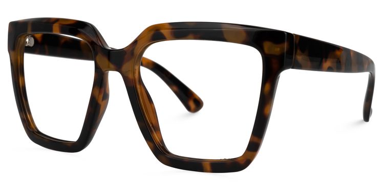 Coleman Square Tortoise Glasses