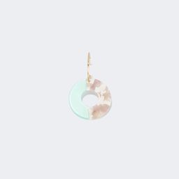 Stylish Annulus Two-Tone Earrings2