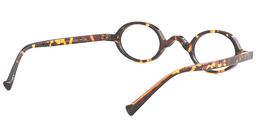 Warner Oval Tortoise Glasses5