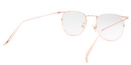 Schultz Round Gold Glasses4