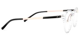 Peyton Round Clear Glasses3