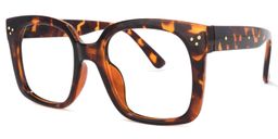 Paisley Square Tortoise Glasses1