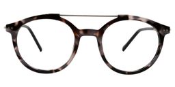 Addis Aviator Tortoise Glasses0