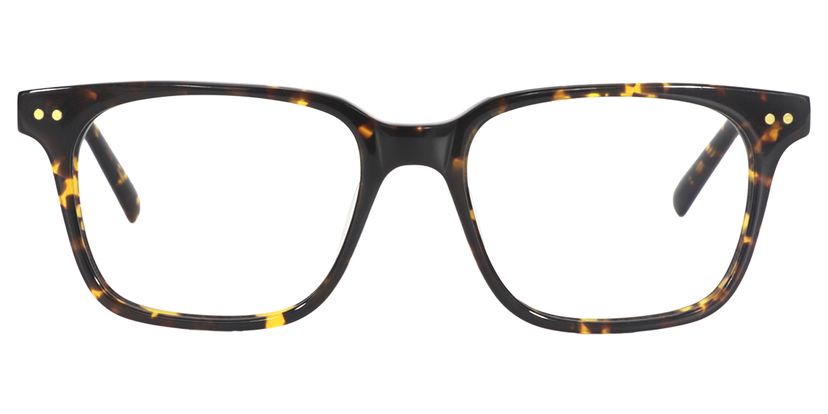 Tim Square Tortoise Glasses 