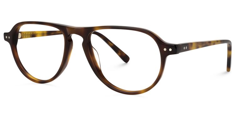 Donovan Geometric Tortoise Glasses