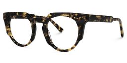 Jenkins Geometric Tortoise Glasses1