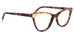 Eaton Cateye Tortoise Glasses1