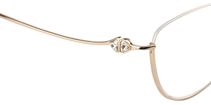 Titanium Silver Glasses5