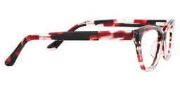 Kakey Cat Eye Red Tortoise Glasses5