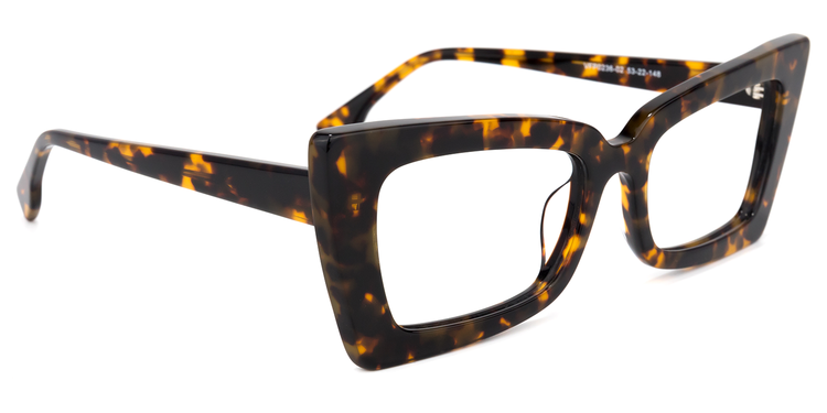 Newell Rectangle Tortoise Glasses