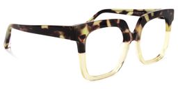 Dexter Square Tortoise Glasses2