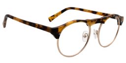 Aeneas Round Tortoise Glasses2