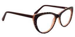 Aiken Cat eye Gray Tortoise Glasses3