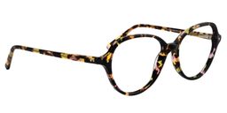 Aldred Oval Tortoise Glasses3