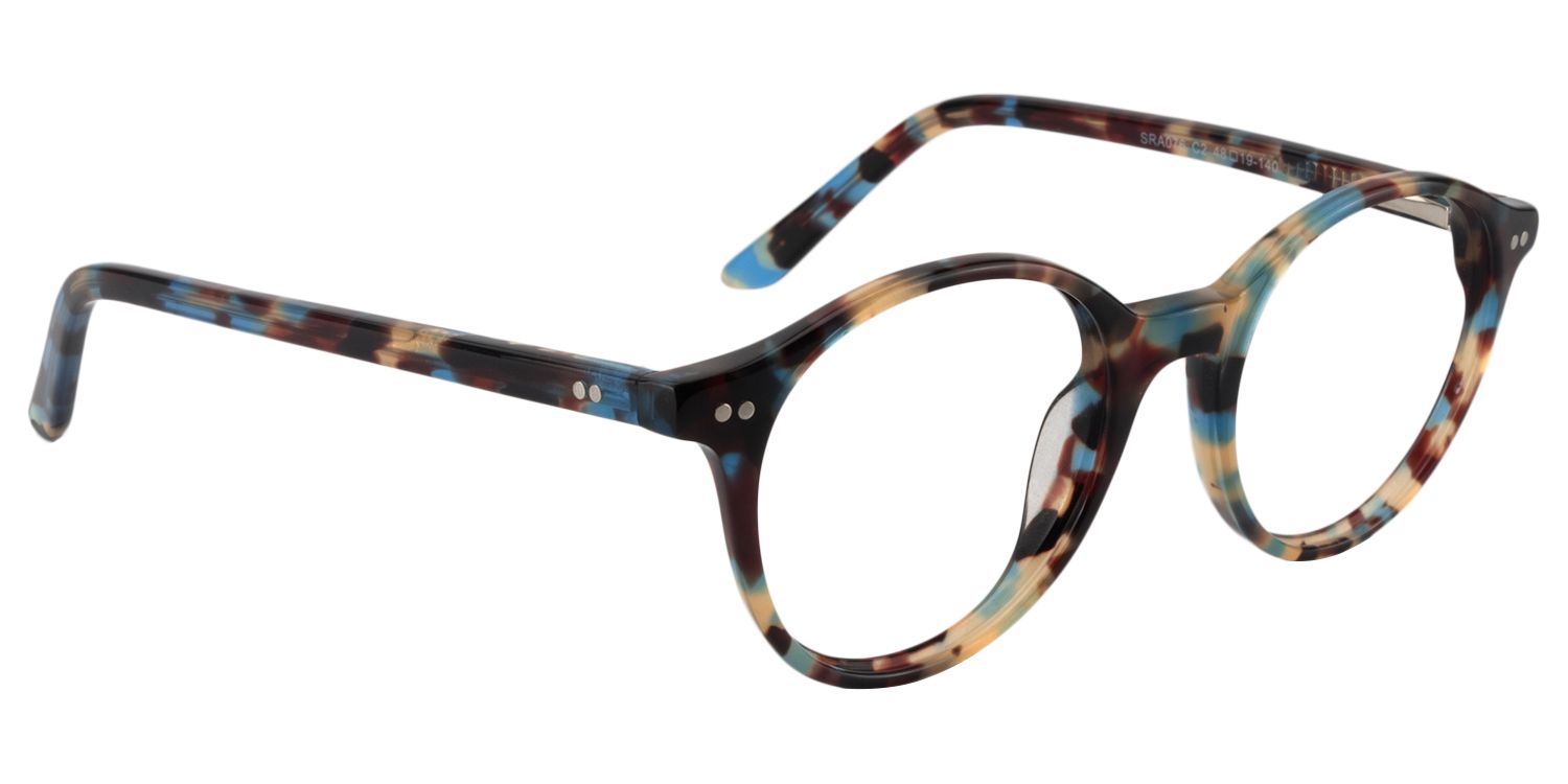 Round Blue Tortoise Glasses | Zeelool Glasses2
