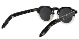 Odom Round Black-Clear Sunglasses5