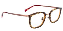 Angelo Square Tortoise Glasses 3